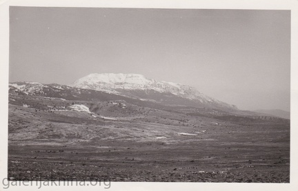 98367082 124758469230379 5587111007320276992 n