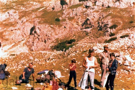 95500829 102203771485849 893042040072306688 n