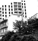 95018366 102838904755669 4457227458181070848 n