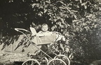 thumbnail IMG 4364