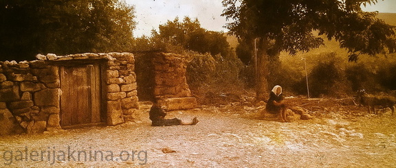 4e540646-92c1-40e3-8633-cd936c9d554e