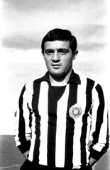 480408408 1263947308644887 937076384742377163 n